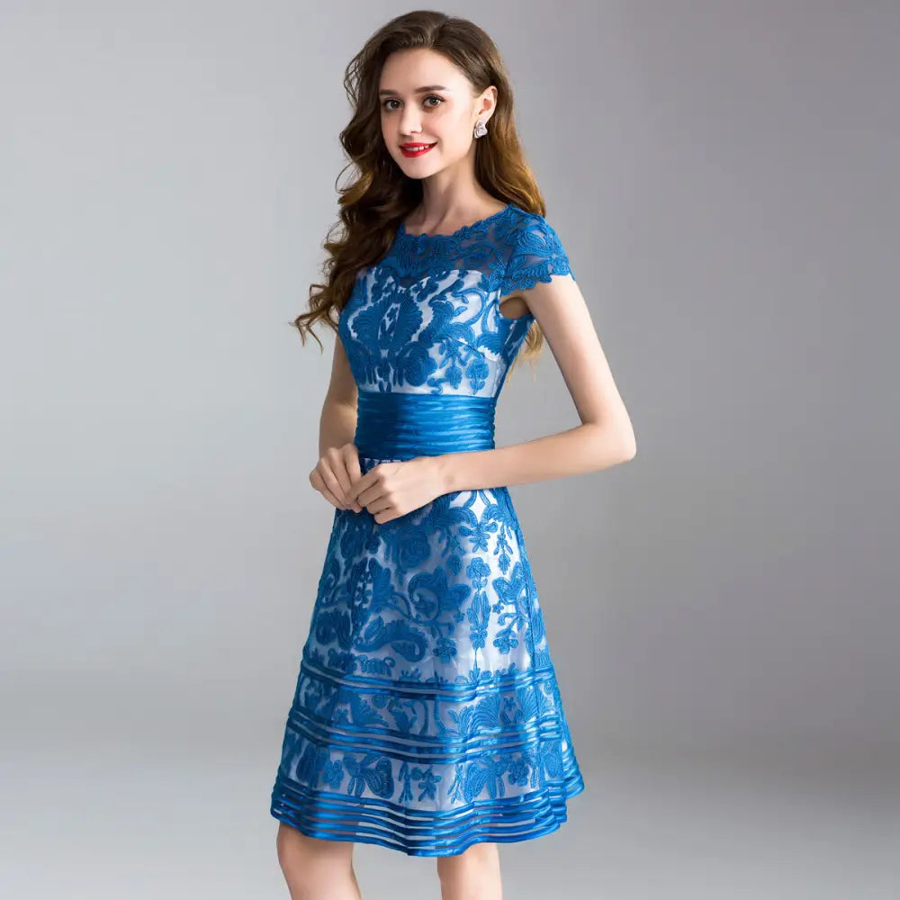 Embroidered Lace Dress | same ANTHEM. - Dress